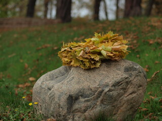 A maple leaves wreath left on the stone in a forest, autumn