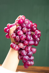 Fresh Red Grapes Cluster Held in Hand - Healthy Fruit Food Photography