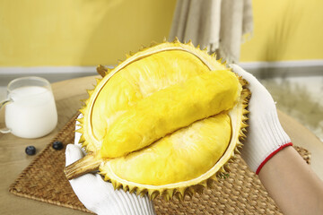 Fresh Golden Durian Fruit from Thailand with Sweet Flesh Exposed in Kitchen Setting