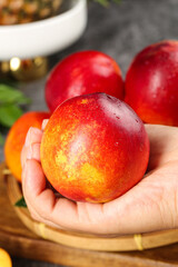 Freshly Harvested Red-Skinned Yellow Nectarines in Hand - Ripe Stone Fruit Ready to Eat
