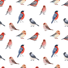 Watercolor seamless pattern with winter birds including black-capped chickadee, hoary redpoll, eastern bluebird, and white-winged crossbill, hand-painted. Perfect for wrapping paper, fabric, holiday c