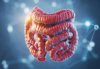 Understanding the Complex Human Digestive System and Its Importance for Health