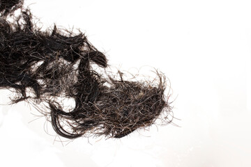 Brunette hair clippings texture isolated on white background, close up