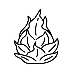 Line art icon a dragon fruit
