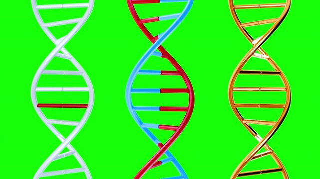 DNA helix strip rotation on green screen background. Medical science element for chemistry or futuristic biotechnology. Realistic loopable 3d animation with chroma key color.