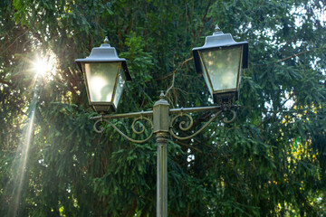 Lamp post on green trees background with sunset star shape flare, soft focus close up