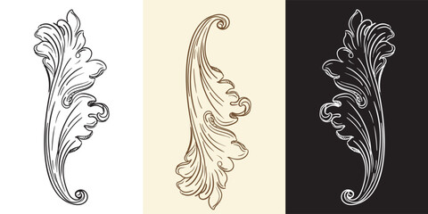 Engraving vintage baroque design element leaf vector