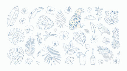 Tropical jungle elements collection hand drawn sketch style