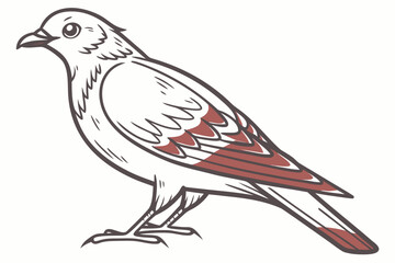  Detailed Bird Drawing with Red Accents - Vector Illustration