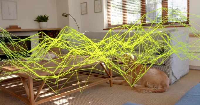 Yellow wireframe wave starting left sweeping room highlighting sunlit rug as dog glancing, resting