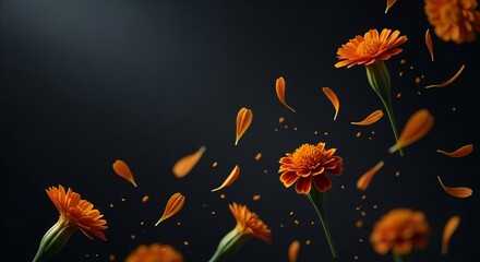 Marigold flower and falling petals for Day of the Dead celebration, vivid orange on dark background. Space for text