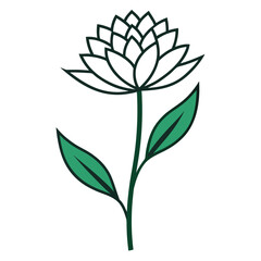 minimal stokesia peachies pick line art vector on white background