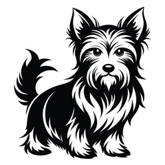Stylized Black and White Illustration of a Cute Yorkshire Terrier Puppy Dog
