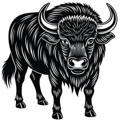 Fototapeta premium buffalo
