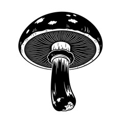 Mushroom silhouette isolated on white background