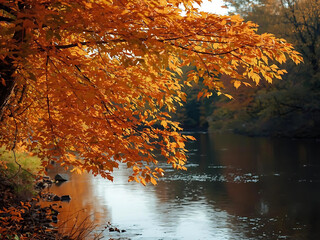 Scenic River Reflecting Vibrant Autumn Trees