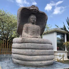 Obraz premium statue of buddha in Nagadeepa Temple in Sri Lanka