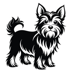Cartoon Black and White Yorkshire Terrier Dog Illustration With a Fluffy Tail and Beard
