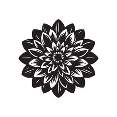 black and white dahlia flower illustration