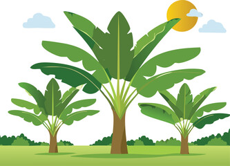 Obraz premium Lush green banana trees under a bright sun with fluffy clouds green leaves tropical