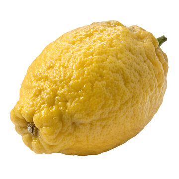 Aromatic citrus medica or citron lemon fruit isolated on a transparent background png