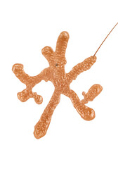 Abstract Isolated Orange Shape on a Black Transparent Background