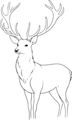 Majestic Stag with Large Antlers Standing Proudly Black and White Outline Keywords: stag, deer