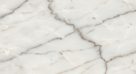 Close-up of white marble with grey veins.