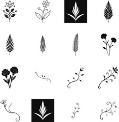 Collection Floral Leaf Graphics flower fern