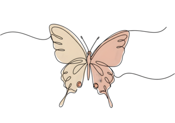 Illustration of Pastel Butterfly with Outlined Wings on Transparent Background
