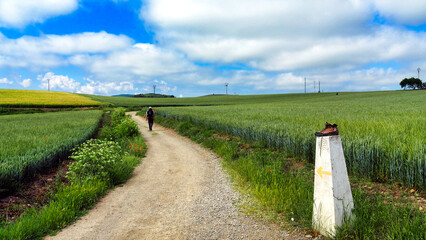 A pilgrim on the road along the tenth stage of the Camino de Santiago From Santo Domingo de la Calzada to Belorado