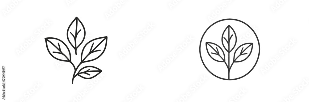 Poster leaf icon set with simple plant sprig and branch symbols in a minimalist line art style for nature a