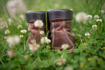 leather hiking boots on the meadow with clover