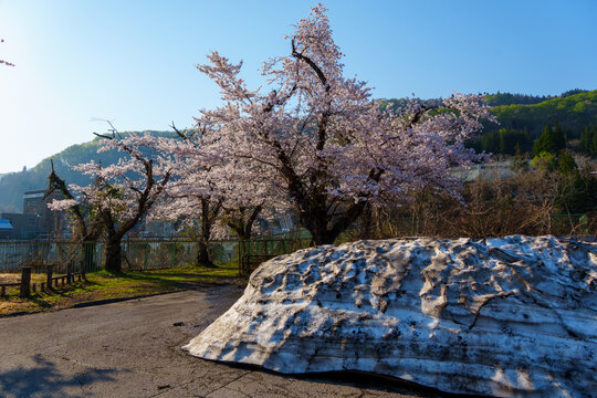 六地蔵」の写真素材 | 524件の無料イラスト画像 | Adobe Stock
