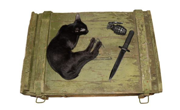 black cat sitting on ammo crate with hand grenade and black combat knife isolated on transparent background