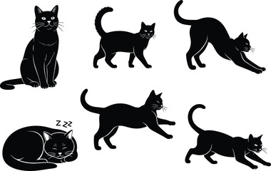 Black cat poses, feline behavior, pet silhouette, sleeping cat, walking cat, stretching cat, vector animal, domestic cat, cartoon style, isolated illustration