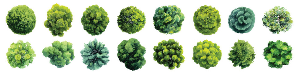 Green trees bush top view landscape architectural maps environmental watercolor set isolated on transparent background