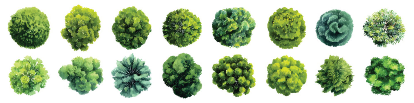 Green trees bush top view landscape architectural maps environmental watercolor set isolated on transparent background