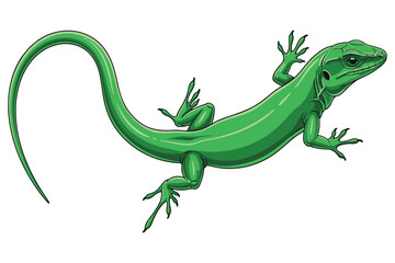 Fototapeta premium Illustration of a vibrant green lizard with a long, curved tail, showcasing its intricate scales and detailed features isolated on white background vector illustration