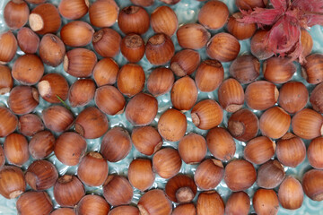 Hazelnuts in the shell as a background