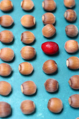 Hazelnuts in a row. Macro shot of hazelnuts on textured background, shallow depth of field