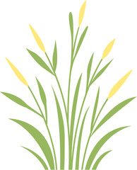 Obraz premium green grass with dew