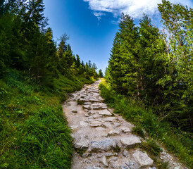 Wonderful Natural Sights on the Zakopane Trails, Zakopane Poland