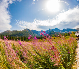 Obraz premium Wonderful Natural Sights on the Zakopane Trails, Zakopane Poland