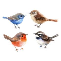 A nice painting of a wren bird set, Simple Illustration, watercolor style, minimal yet artistic elements for creative designs. EPS format, isolated on transparent background