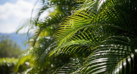 Vibrant palm fronds with sunlit bokeh, a refreshing tropical nature background.