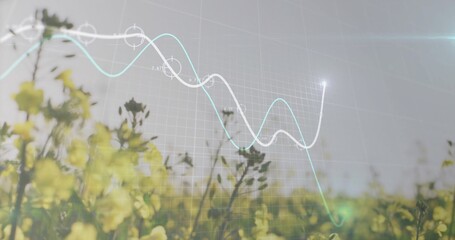 Displaying canola in field with grid overlay white-blue graph lines, data markers, lens flare