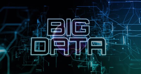 Neon 'BIG DATA' sign glowing in digital backdrop, with circuit lines, network nodes and purple glow