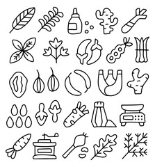 Hand drawn spices and herbs icons set, doodle style vegetables and cooking ingredients, organic food illustration, kitchen seasoning, ginger, chili, leaves, seeds, natural sketch symbols