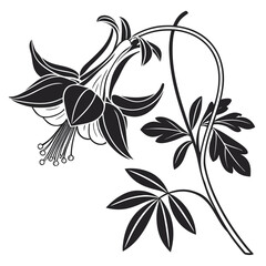 Obraz premium Elegant Black and White Flower Illustration.